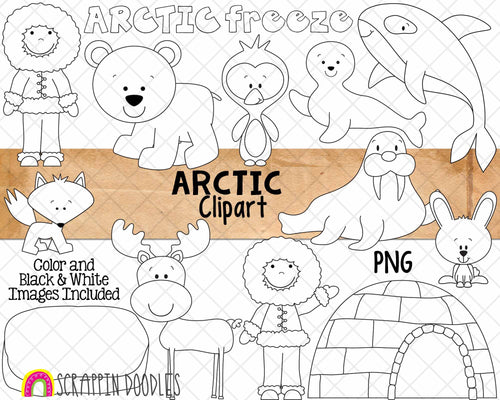 Arctic ClipArt - North Pole - Polar Bear - Igloo - Walrus - Seal -Arctic Fox - Hand Drawn PNG - Commercial Use Sublimation
