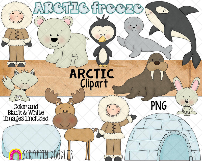 Arctic ClipArt - North Pole - Polar Bear - Igloo - Walrus - Seal -Arctic Fox - Hand Drawn PNG - Commercial Use Sublimation