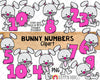 Bunny Holding Numbers Clip Art - Commercial Use PNG