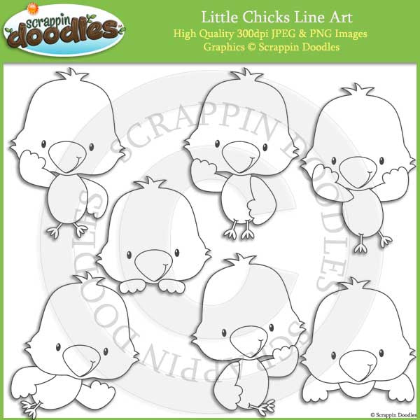 Little Chicks