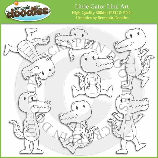 Little Gator