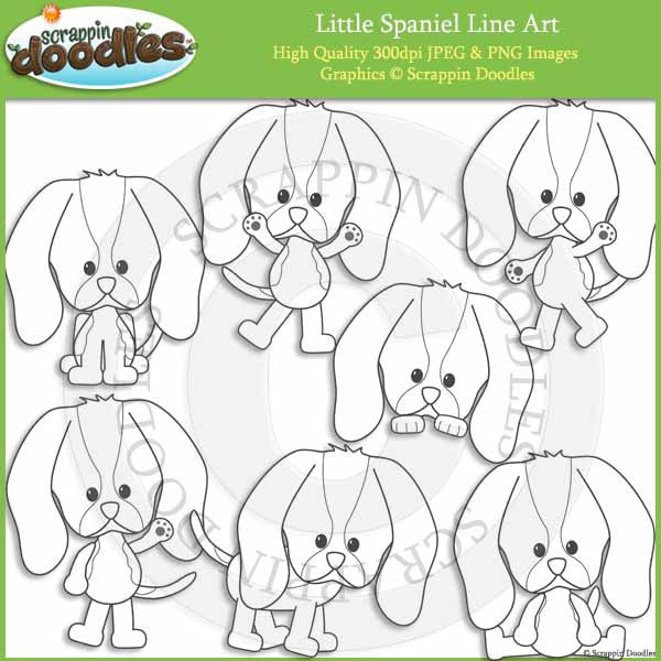Little Spaniel