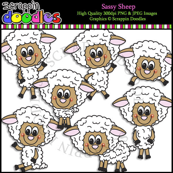 Sassy Sheep