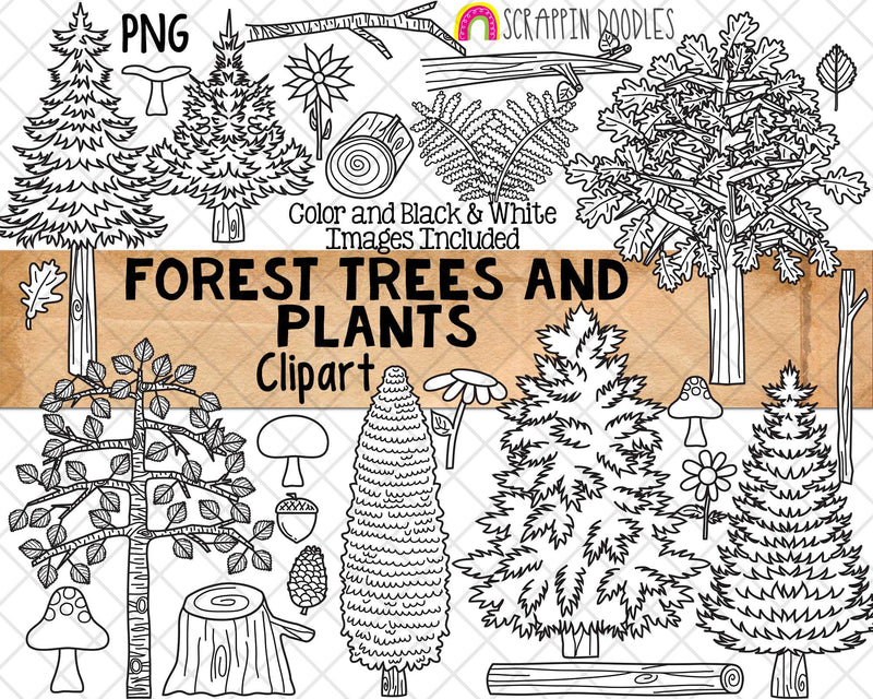Forest Trees And Plants Clipart - Birch Tree - Pine Tree - Cedar - Mus –  Scrappin Doodles