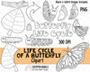 Life Cycle ClipArt Bundle