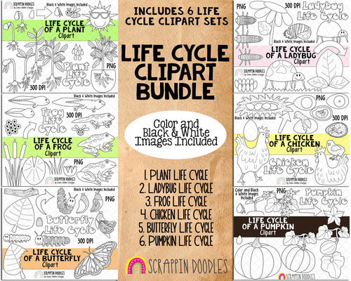 Life Cycle ClipArt Bundle