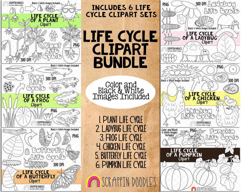 Life Cycle ClipArt Bundle