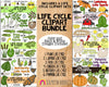 Life Cycle ClipArt Bundle