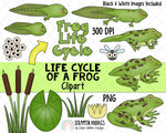 Life Cycle ClipArt Bundle