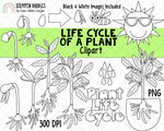 Life Cycle ClipArt Bundle