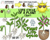 Life Cycle ClipArt Bundle