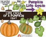 Life Cycle Clip Art - Pumpkin Life Cycle Clip Art - Squash Life Cycle ClipArt - Seedling ClipArt - Sprout ClipArt - Growing Pumpkins ClipArt