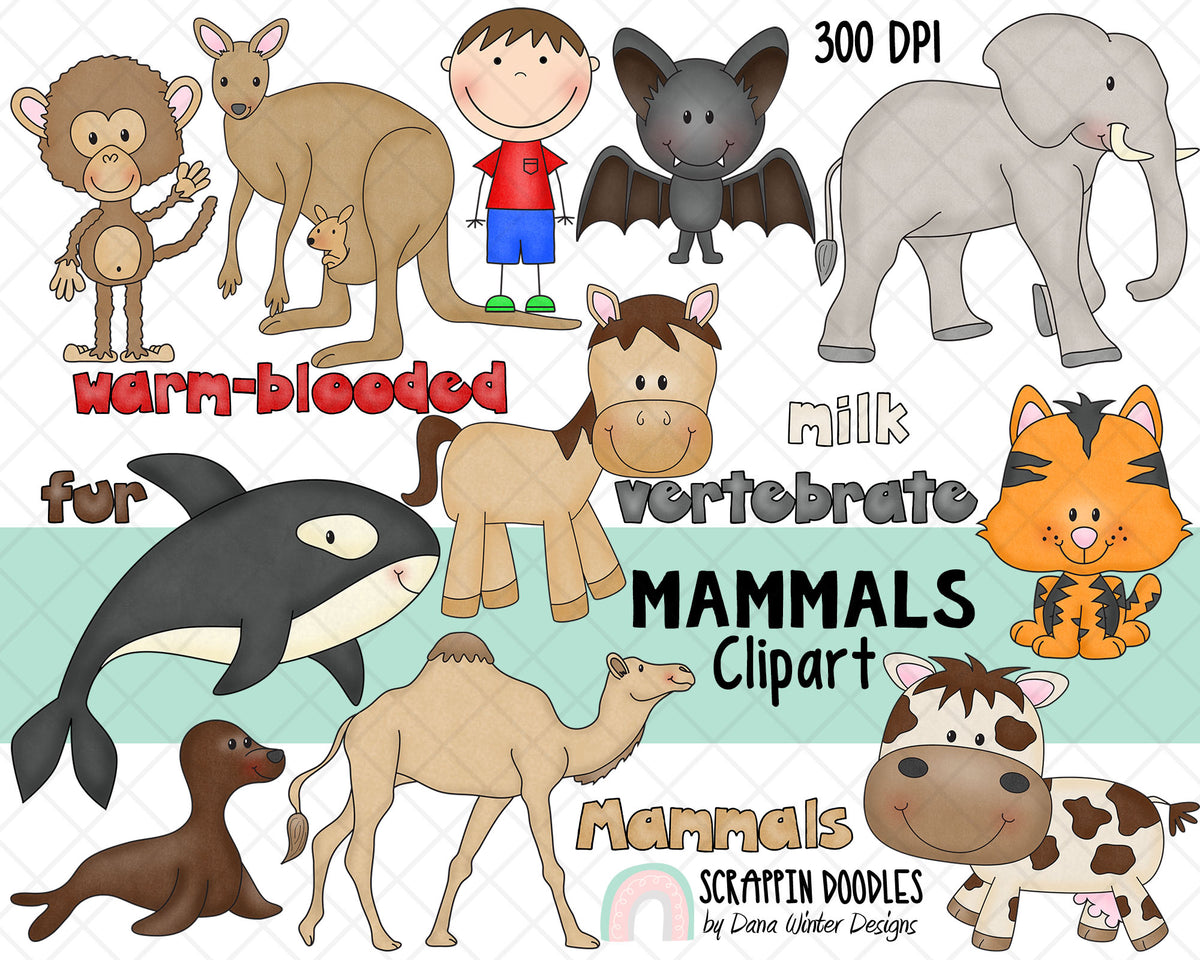Mammals ClipArt - Cute Animal Clipart - Mammal Clip Art - Instant Download Hand Drawn Graphics 