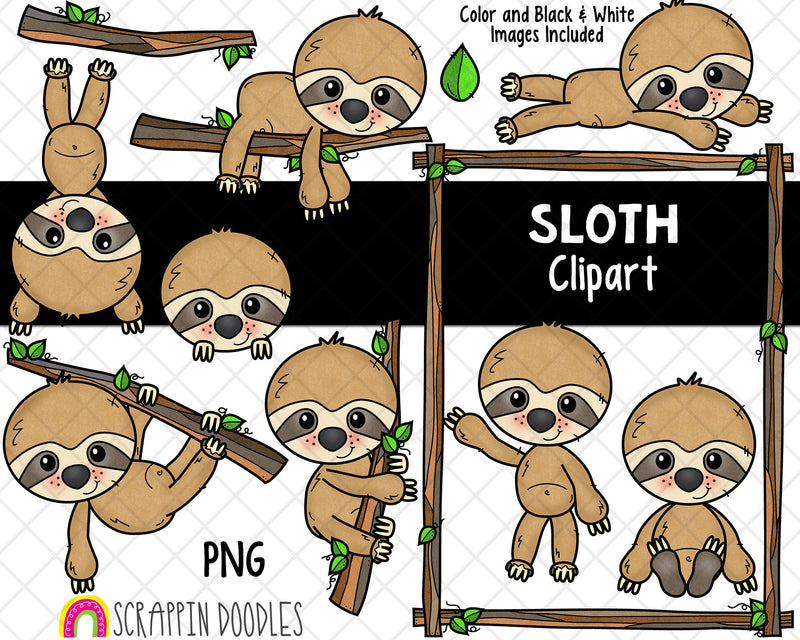 Sloth ClipArt - Cute Sloth Clipart - Jungle Animal - Sloth In Tree - Hand Drawn PNG - Branch Frame - Sloth Hanging Graphics