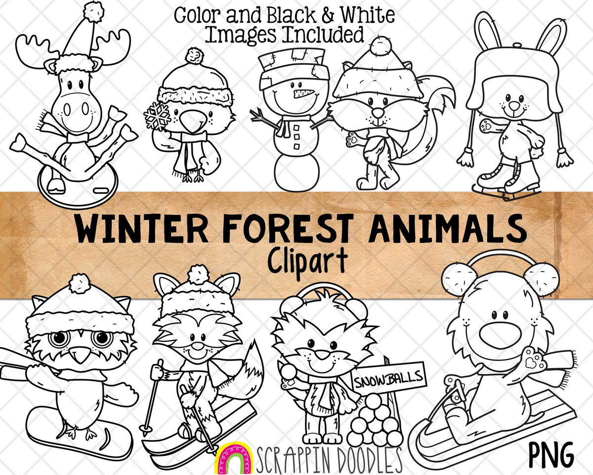 Forest Clip Art Bundle - Forest Animals - Trees - Plants - Borders - Backgrounds
